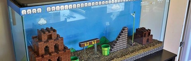 ビッグな水槽に『スーパーマリオブラザーズ』のステージを再現!制作者が着手から完成までの様子を写真付きで公開