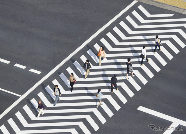 パネル展示作品・>crosswalk<