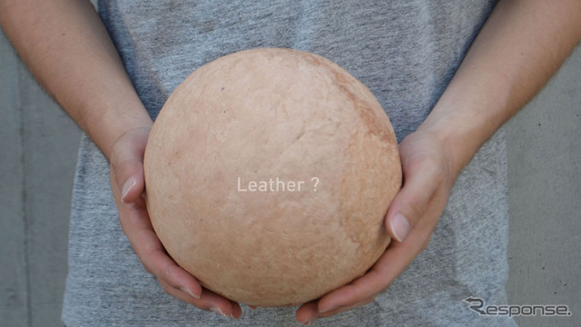 パネル展示作品・Leather?