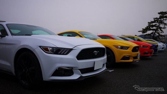 マスタング50Years Edition限定生産カラー含め6台が登場