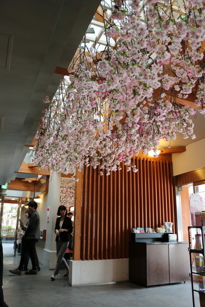 桜で装飾されたスターバックスコーヒー「上野恩賜公園店」店内(エントランス)