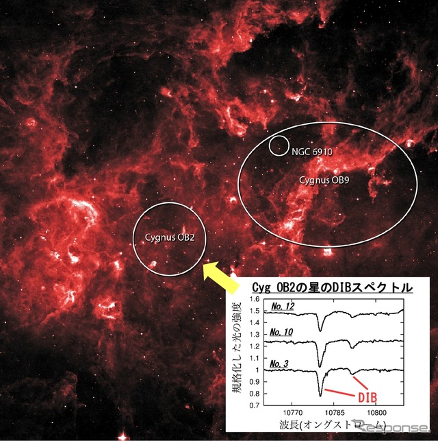 特に顕著なDIBを検出した「はくちょう座OB2星団」の赤外線写真（NASA）と、WINEREDで取得したはくちょう座OB2星団の星（No.3, 10, 12）のDIBのスペクトル（右下）。