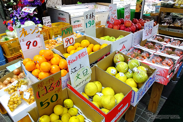 長崎県佐世保市近郊で栽培されている江上文旦も棚に並ぶ