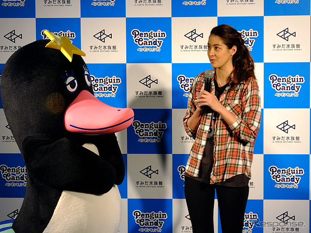 すみだ水族館に登場した、光と音楽とペンギンの新展示「ペンギンキャンディ」(3月21日~7月17日)。3月19日のオープニングイベントには動物好きな森泉も登場。ペンギンを抱き「連れて帰りたい!」と笑った