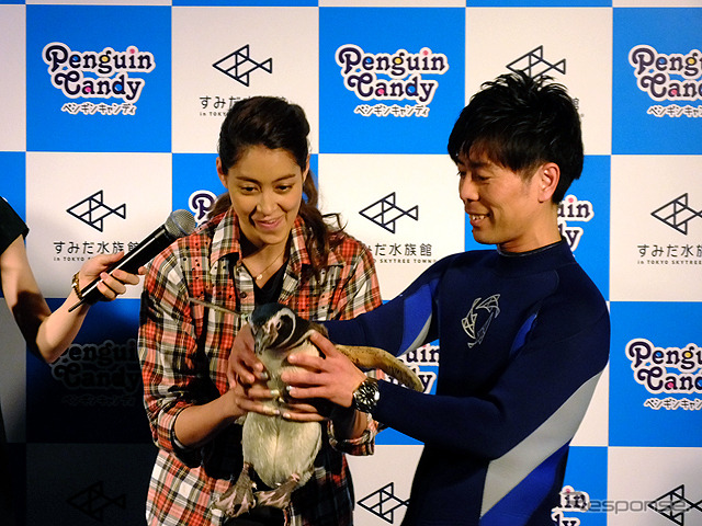 すみだ水族館に登場した、光と音楽とペンギンの新展示「ペンギンキャンディ」(3月21日~7月17日)。3月19日のオープニングイベントには動物好きな森泉も登場。ペンギンを抱き「連れて帰りたい!」と笑った