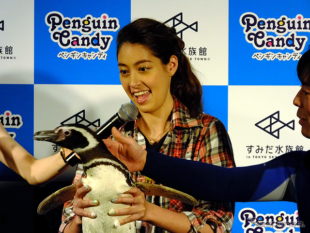 すみだ水族館に登場した、光と音楽とペンギンの新展示「ペンギンキャンディ」(3月21日~7月17日)。3月19日のオープニングイベントには動物好きな森泉も登場。ペンギンを抱き「連れて帰りたい!」と笑った