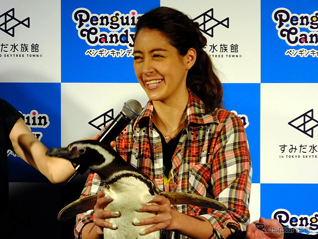 すみだ水族館に登場した、光と音楽とペンギンの新展示「ペンギンキャンディ」(3月21日~7月17日)。3月19日のオープニングイベントには動物好きな森泉も登場。ペンギンを抱き「連れて帰りたい!」と笑った
