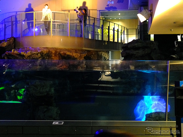 すみだ水族館に登場した、光と音楽とペンギンの新展示「ペンギンキャンディ」(3月21日~7月17日)。3月19日のオープニングイベントには動物好きな森泉も登場。ペンギンを抱き「連れて帰りたい!」と笑った