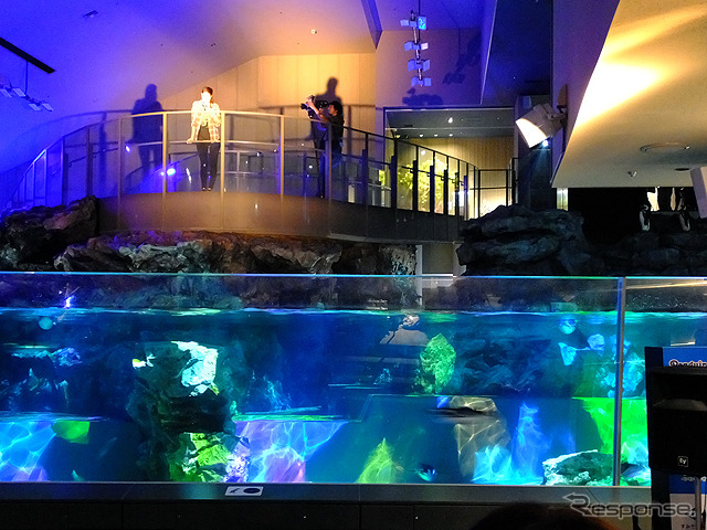 すみだ水族館に登場した、光と音楽とペンギンの新展示「ペンギンキャンディ」(3月21日~7月17日)。3月19日のオープニングイベントには動物好きな森泉も登場。ペンギンを抱き「連れて帰りたい!」と笑った