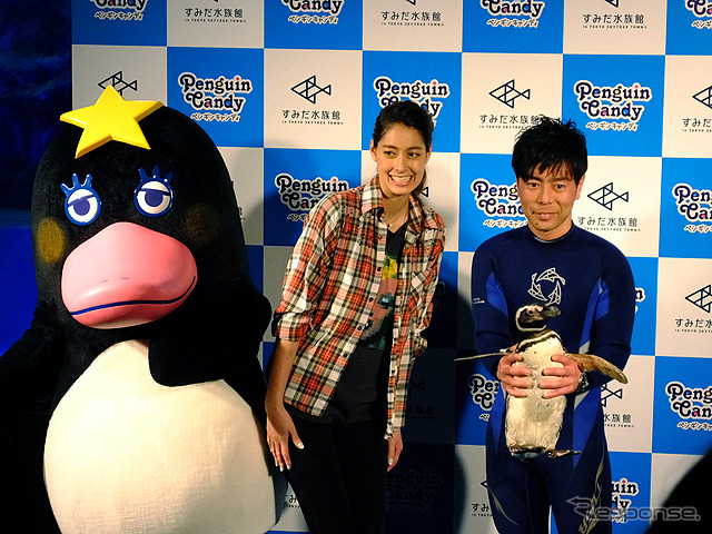 すみだ水族館に登場した、光と音楽とペンギンの新展示「ペンギンキャンディ」(3月21日~7月17日)。3月19日のオープニングイベントには動物好きな森泉も登場。ペンギンを抱き「連れて帰りたい!」と笑った