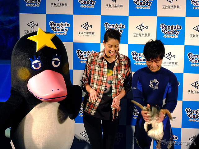 すみだ水族館に登場した、光と音楽とペンギンの新展示「ペンギンキャンディ」(3月21日~7月17日)。3月19日のオープニングイベントには動物好きな森泉も登場。ペンギンを抱き「連れて帰りたい!」と笑った