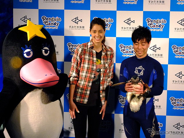 すみだ水族館に登場した、光と音楽とペンギンの新展示「ペンギンキャンディ」(3月21日~7月17日)。3月19日のオープニングイベントには動物好きな森泉も登場。ペンギンを抱き「連れて帰りたい!」と笑った