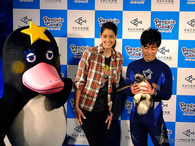 すみだ水族館に登場した、光と音楽とペンギンの新展示「ペンギンキャンディ」(3月21日~7月17日)。3月19日のオープニングイベントには動物好きな森泉も登場。ペンギンを抱き「連れて帰りたい!」と笑った