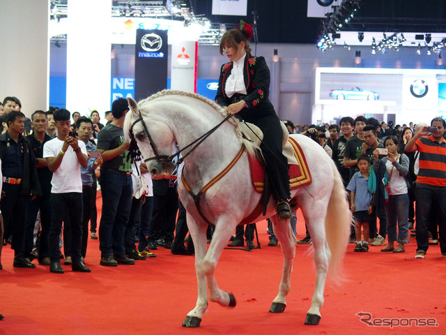 ショー会場に突如現れた白馬。華麗なステップで来場者を魅了した