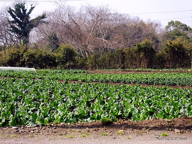 館山と新宿を結ぶ公共交通は、東京湾アクアラインを経由する高速バスや、内房線・総武線を経由するJR特急などがある。同区間の高速バス路線は、山手トンネル（首都高速道路中央環状新宿線）の全通によって、従来よりも所要時間が10～20分短縮され、「定時運行率が増えた」と関係者はいう