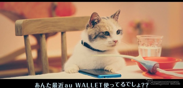 au WALLET「にゃにゃにゃにゃ食堂」　史上初！ネコ語ドラマ（ヒューにゃんドラマ）