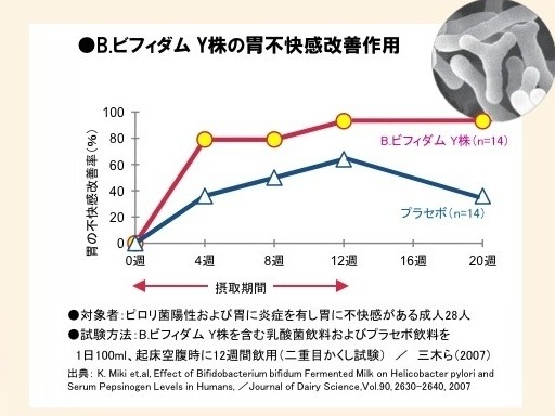 B.ビフィダム Y株の胃不快感改善作用