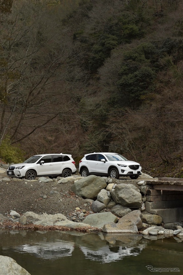 スバル フォレスター(左)とマツダ CX-5(右)