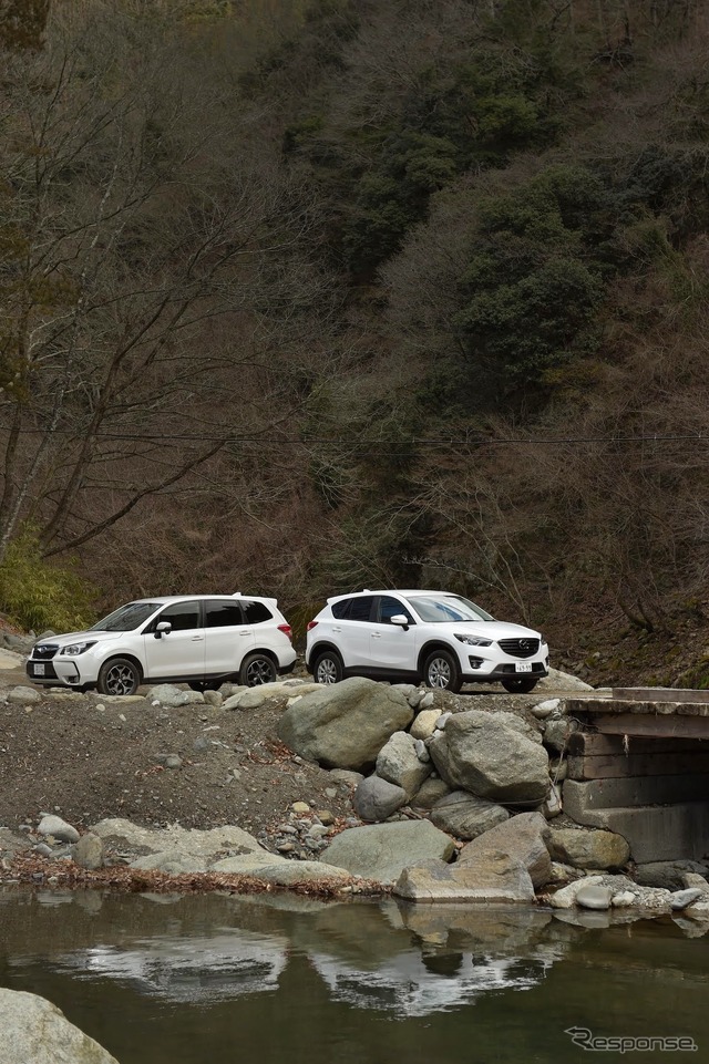 スバル フォレスター（左）とマツダ CX-5（右）