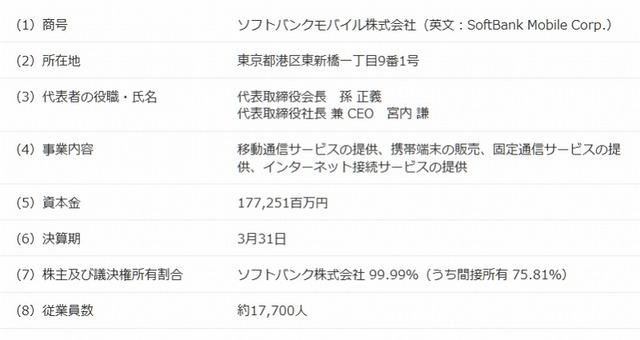 新会社の概要