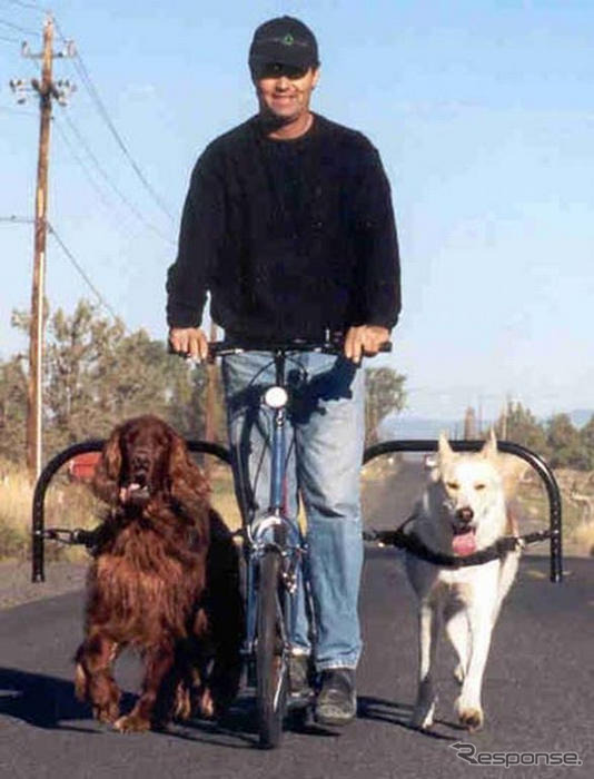 犬の力で走るスクーター