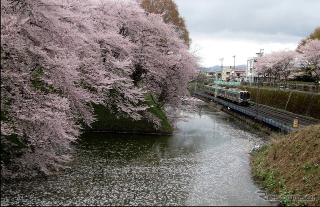 山形~北山形間の霞城公園沿いを行く列車。4月11日から徐行運転を行う。