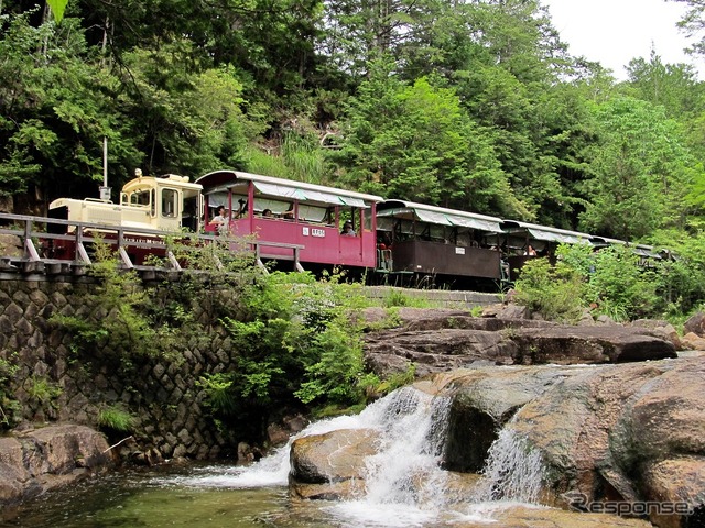 赤沢自然休養林を走る赤沢森林鉄道の列車。クラブツーリズムが6月に実施するツアーで乗車する。