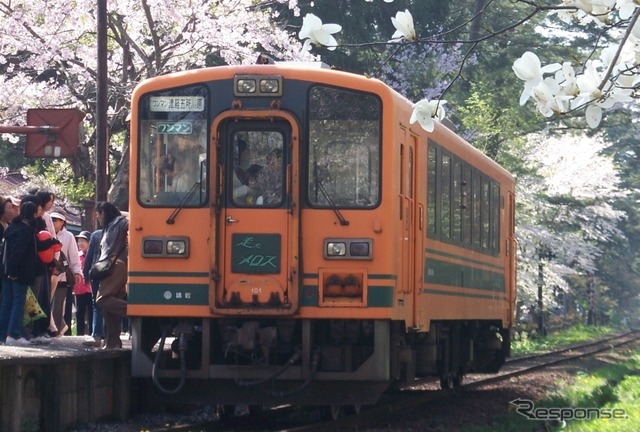 サクラが満開の芦野公園駅に停車する津軽21形気動車。