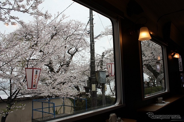 試乗会の列車は『のと里山里海2号』と同じダイヤで運行。サクラの名所として有名な能登鹿島駅では対向列車との待ち合わせのため停車し、窓からサクラをじっくり見ることができた。