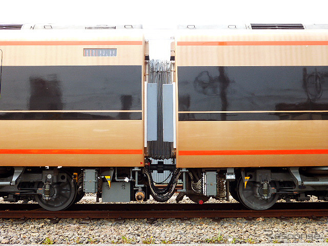金色に塗られた100系「日光詣スペーシア」公開時のようす(北春日部南栗橋車両管区春日部支所、4月17日)