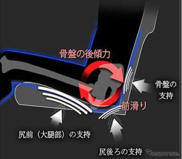 骨盤支持の考え方