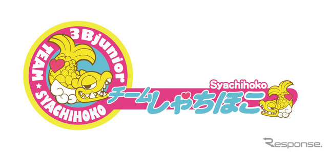 チームしゃちほこ