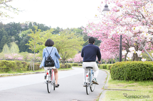 【GWドライブ】新緑の水戸…車内で楽しむ薫る風