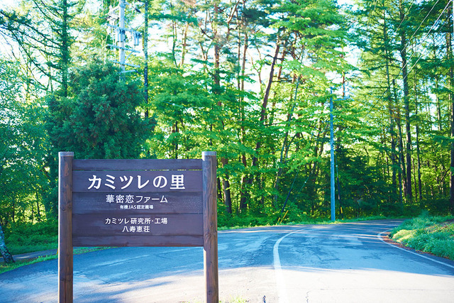日本初BIO HOTEL認定、長野「八寿恵荘」がオーガニックとサステナビリティを極めリニューアル