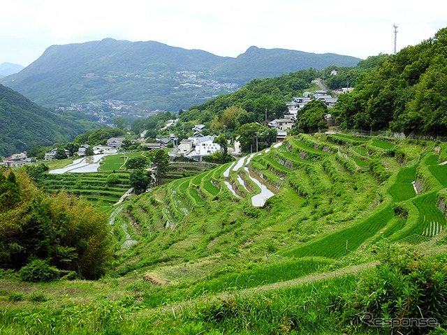 香川県・小豆島の中山千枚田