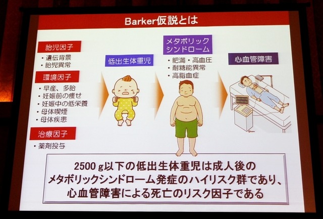 Barker仮説とは(清水誠教授の講演資料)