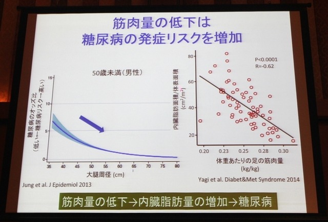 筋肉量の低下は糖尿病の発症リスクを増加(藤田聡教授の講演資料)