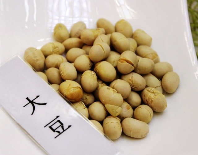 日本橋もこみち1883“まぜふり”に使用されている旨味食材