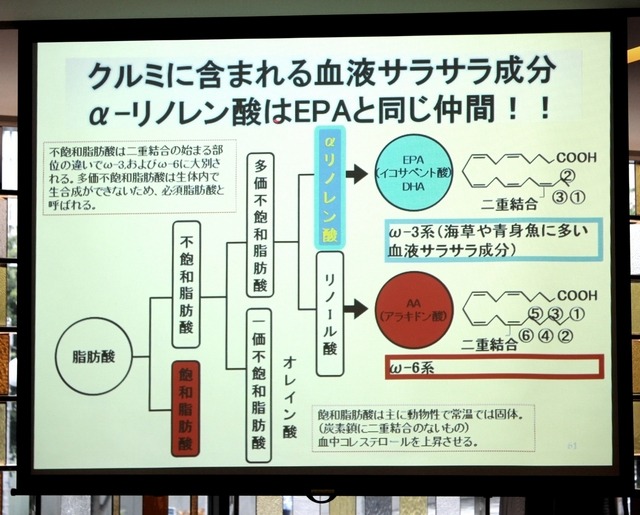 くるみに含まれる成分について(講演資料)