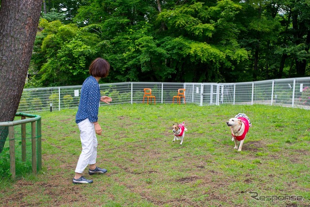 ドッグラン