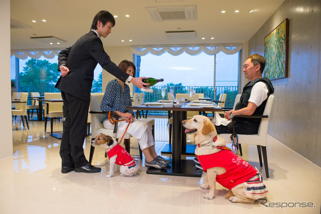 もちろん、マリアとララは洋服着用。マナーの意味と、レストランのグレード合わせた飼い主の責任、配慮からである。