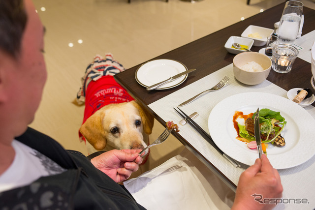 BMW 2シリーズ グランツアラー で愛犬と共に