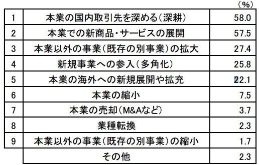 今後実施・検討する事業展開