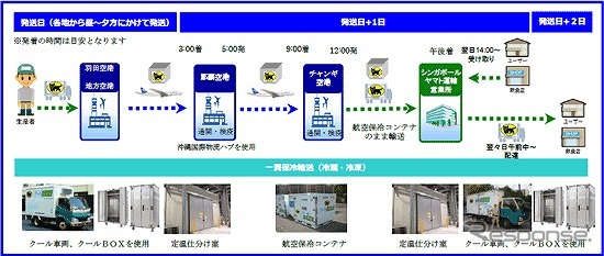 日本からシンガポールまでの配送の流れ