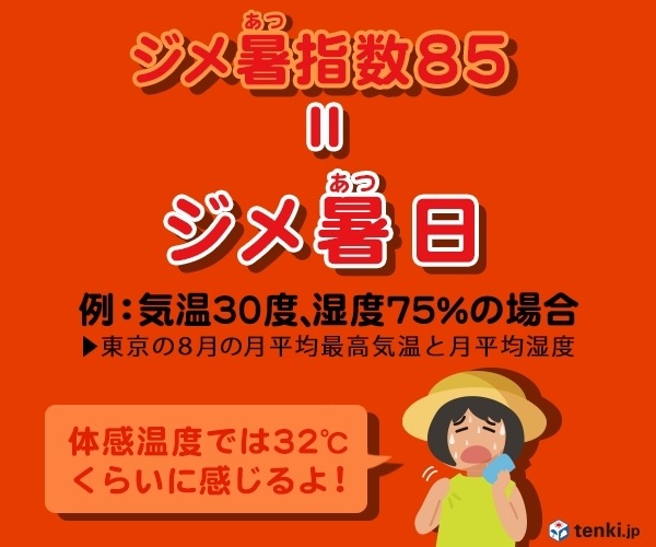 東京はカイロ、ジャカルタ、ホノルル以上に過ごしにくい?…日本のジメ暑傾向