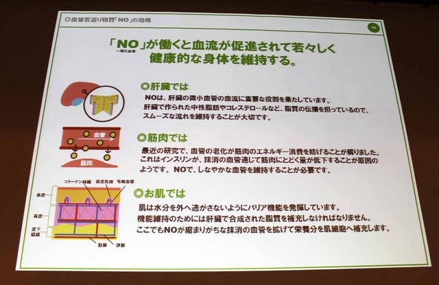 「NO」が働くと血流が促進されて若々しく、健康的な身体を維持する