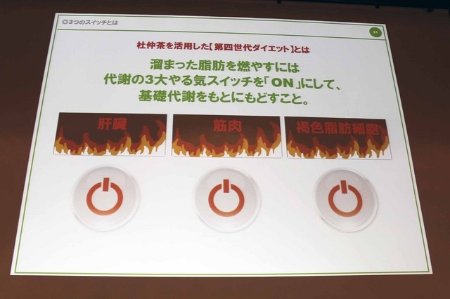 杜仲茶を活用した、代謝促進型ダイエットとは