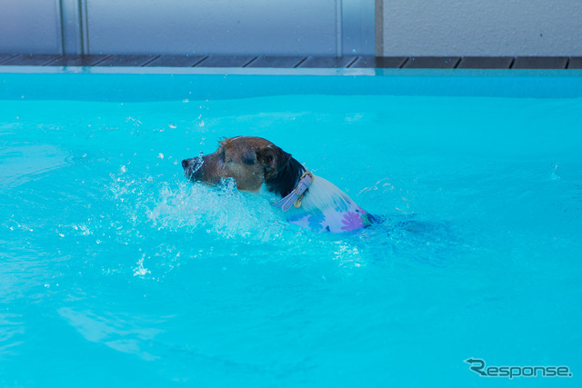 ララ、初泳ぎ！