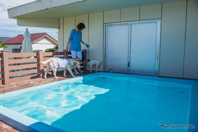 アレーナ三浦海岸のドッグプール