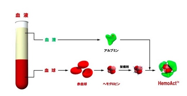 ヘモアクトの構造